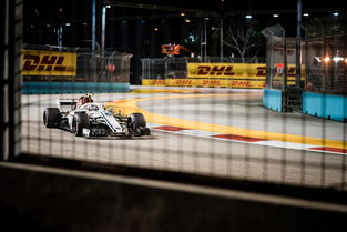 F1赛车赛场焦点！德国队对阵法国队，核心球员受伤，球队前景蒙阴影